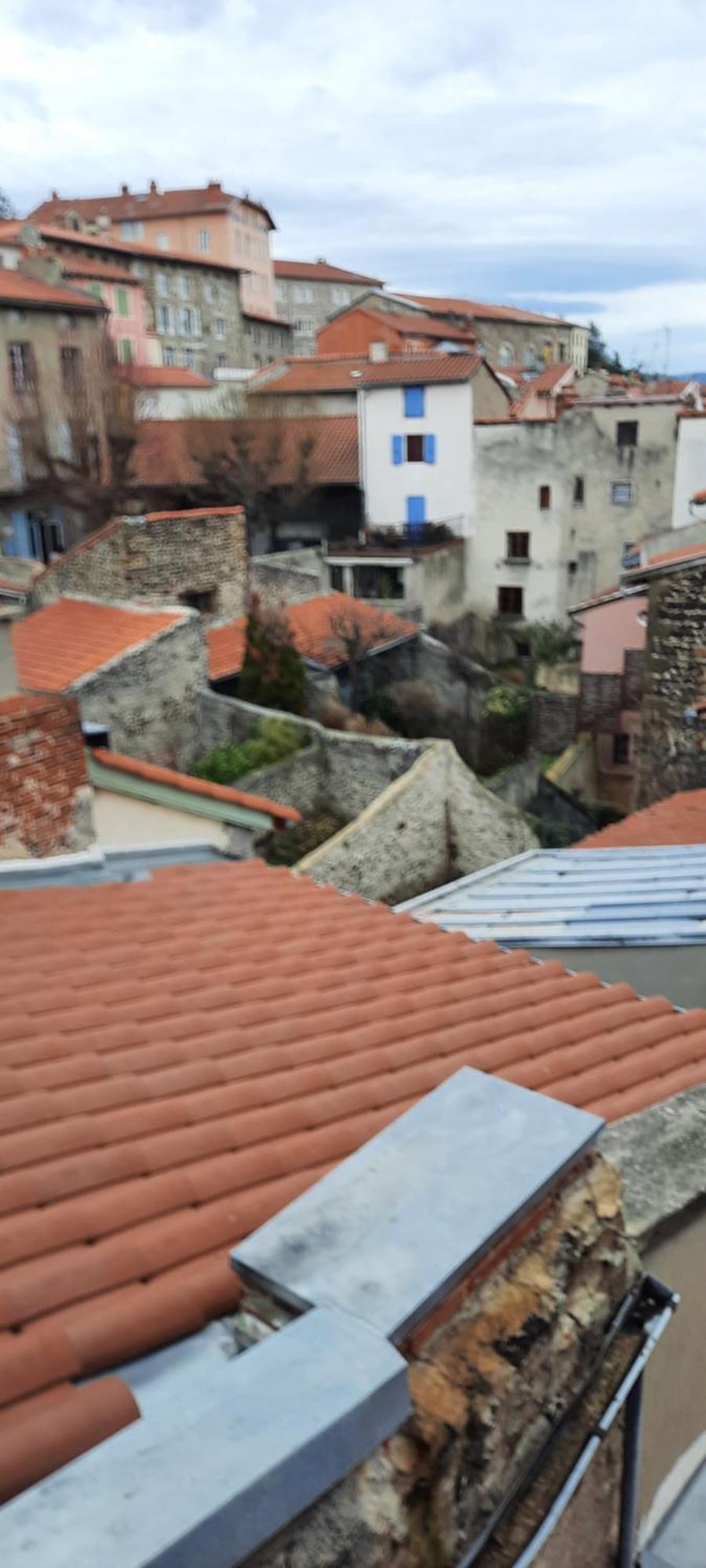 Bienvenue Chez Vous Leilighet Le Puy-en-Velay Eksteriør bilde